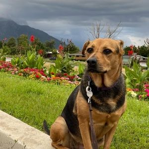 Meet your Posher, Anna